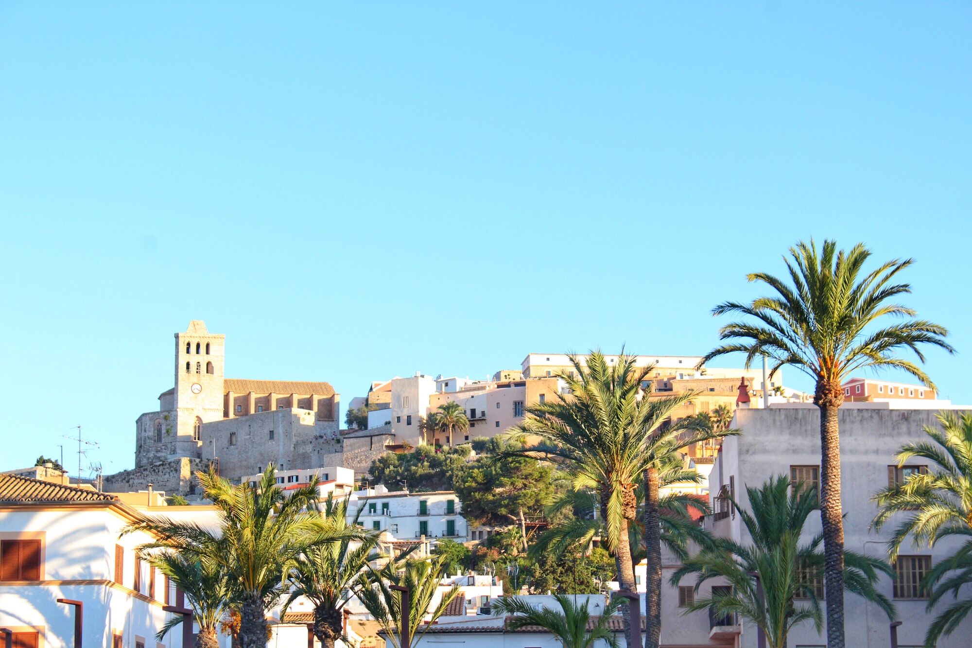Ibiza old town skyline in summer. Holiday destination with blue sky and palm trees